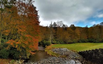 Letting Go of Negative Beliefs