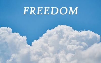 e Pluribus Unum