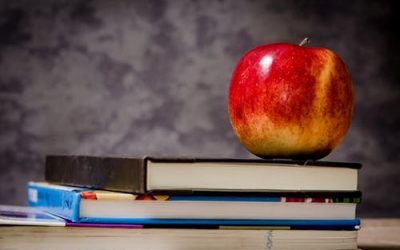Finding Flexibility in Education