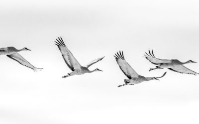 Being at the right place at the right time…